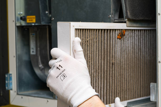Best Local Air Duct Cleaning Services  in Forest Hills, TN