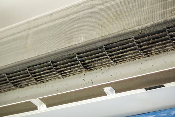 Best Air Duct Cleaning Cost  in Forest Hills, TN